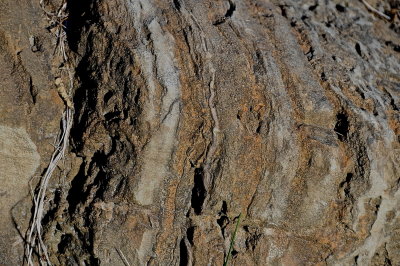 CORNWALL 2015-10-10 3432 striation.JPG