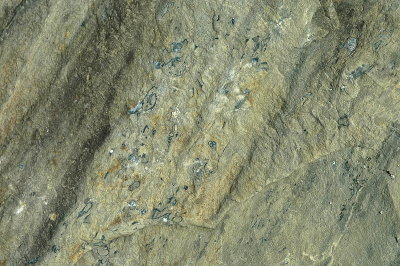 MIDDLEBURY RES 6-3-2015 342 striation.JPG
