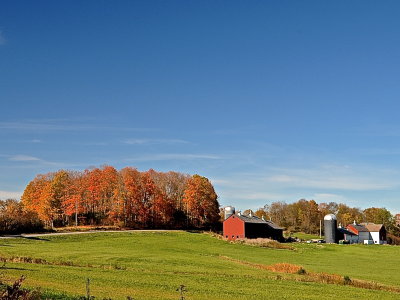 BRANDON 2015-10-19 4310.jpg