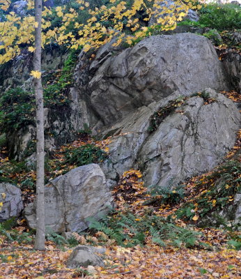 ADDISON CTY 2016-10-19 164.jpg