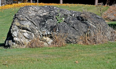 RUTLAND 2016-11-18 210.JPG