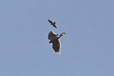 g9/15/788915/3/151677721.jM2Brm2S.jpg