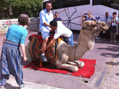 Camel rides!! Emer cheers Christopher on.