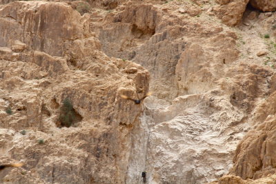 Rock climbing or rappelling?  Really?