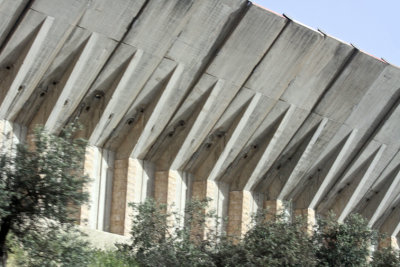 The concrete wall between the Palestinian Terriroty and Israel.  The plant at far left is a tree (for scale).