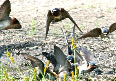 Mother's Day at Bells Slough