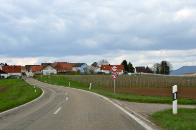 Entering Impflingen, with vineyards on right.  Speed limit on these little country roads, 70 km/hr (about 45 mph