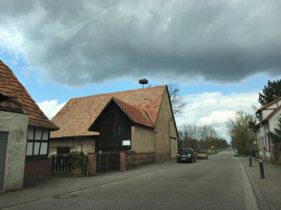 The pole above the house with the platform is a stork nest- with the stork in it.