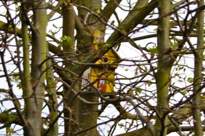 German birdhouse