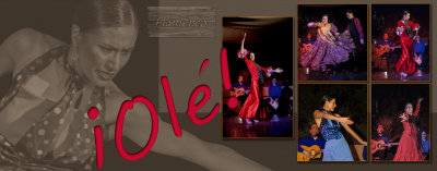 _11 Flamenco1.jpg