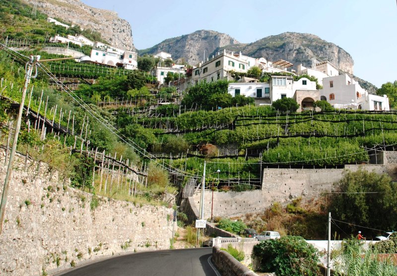 Amalfi Terraces