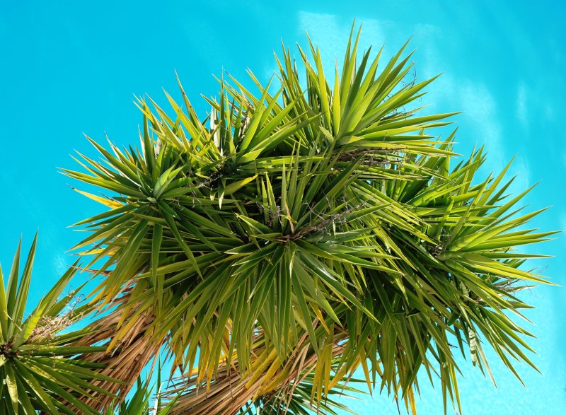 Green on blue