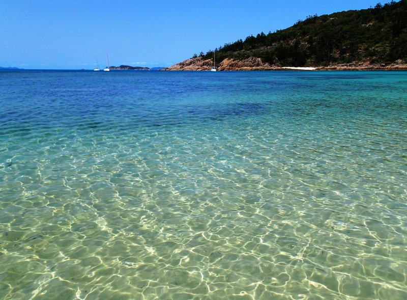 Dead Dog Bay, Thomas Island