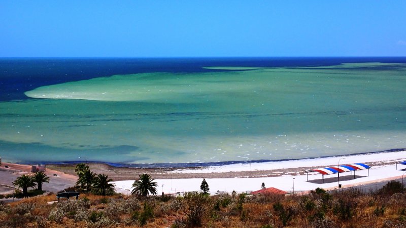 Whyalla Sunshade