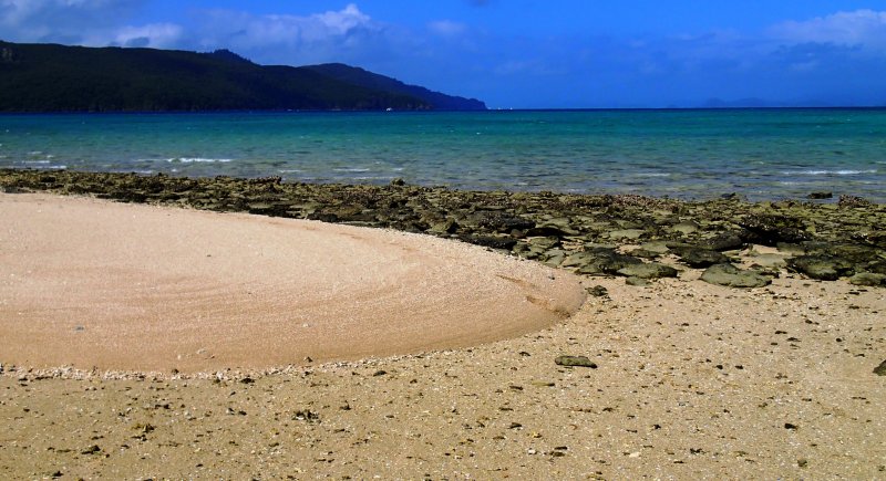 Langford Low Tide