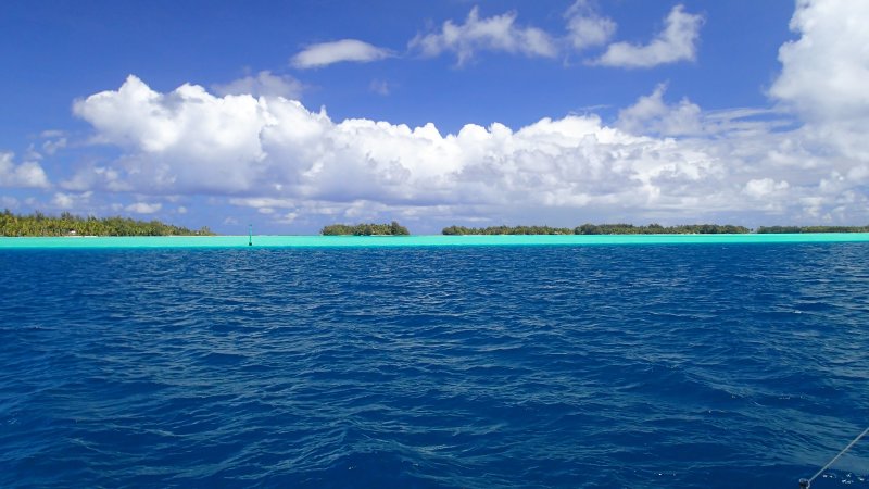 Tahaa