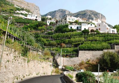Amalfi Terraces