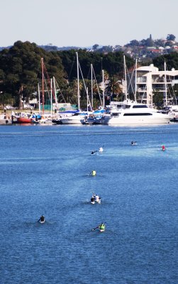 Paddlers in line