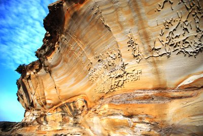 Bare Island Rock Form