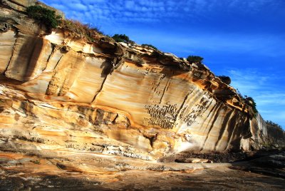 Bare Island Rock Form 2