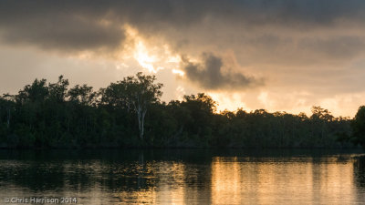 Daintree River, QLD