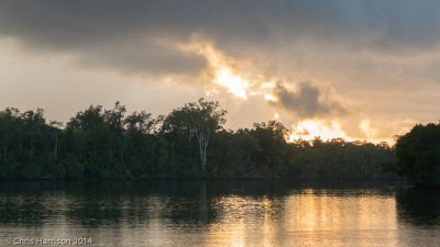 Daintree River, QLD