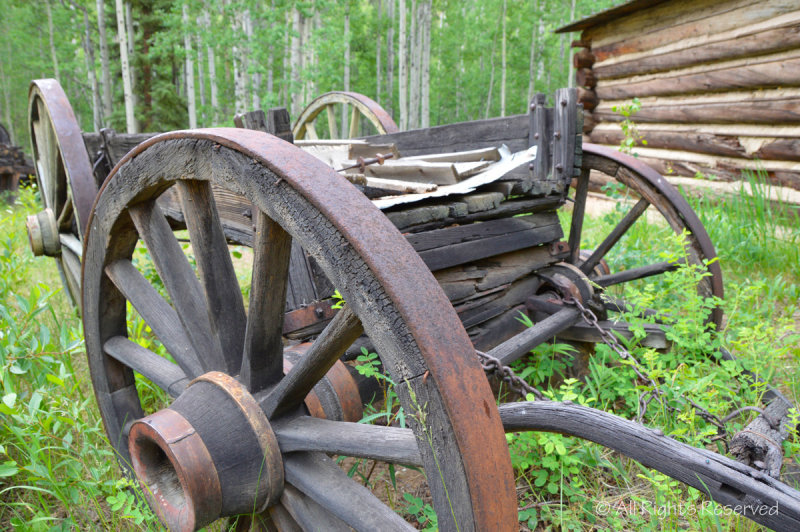 Mountain Wagon