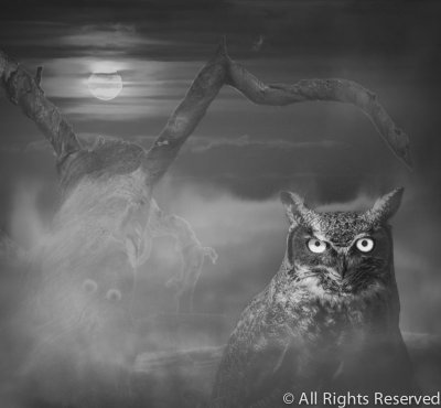 Night Hunter- A Vole's Nightmare.jpg