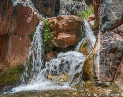 Grand Canyon Oasis