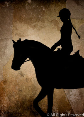 Shadow Rider