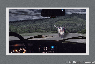 Steer in Headlights