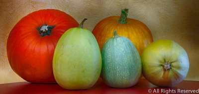 Five Squash; Five Hues