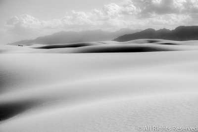 Serenity of the Dunes