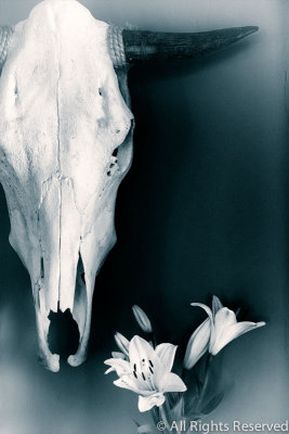 The Blue Mask