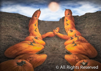 Fertility Dance of Pumpkins