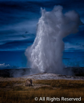 Old Faithful by Moonlight