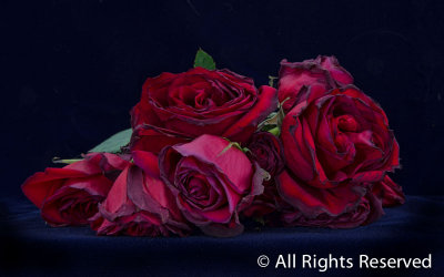 g9/15/941815/3/154649491.83BN0tyF.jpg
