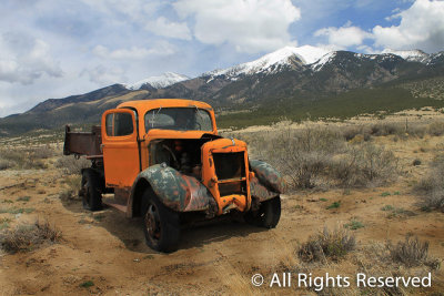 November 2014 Ribbon Winners Old and/or Abandoned