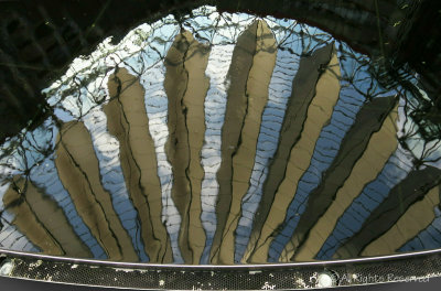 Sony Center Ceiling Reflection