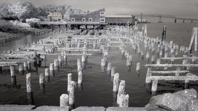 Wharf Remains