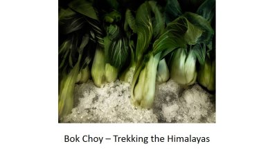 01 Bok Choy.jpg