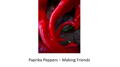 03 Paprika Peppers.jpg