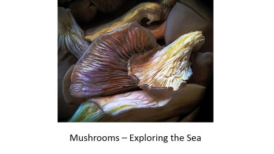 04 Mushrooms.jpg