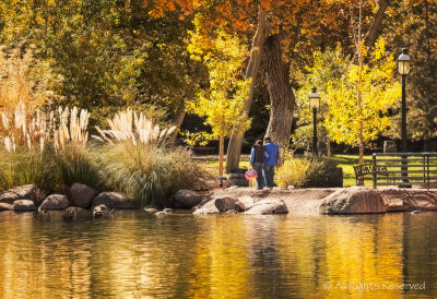 A Walk In The Park