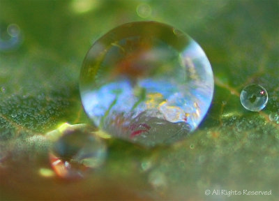 Water Globe