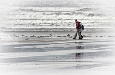 Low Tide