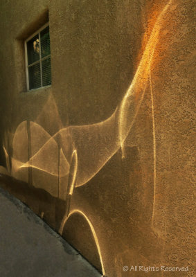 Tail Light Reflection