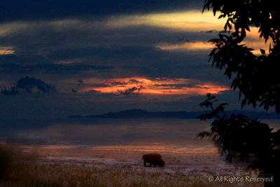 Antelope Island Sunset