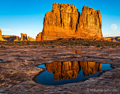 Rainwater Reflection on Slickrock - Arches Natl. Park