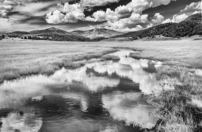 Reflection